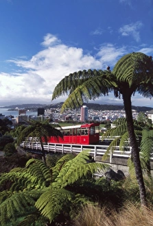Tram Prints: New Zealand, Cable Car, Wellington