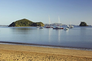 Water Side Prints: New Zealand, Early Light, Paihia, Bay of Islands, Northland