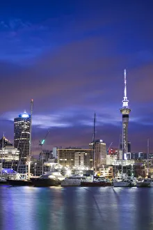 Australia Prints: New Zealand, North Island, Auckland, Viaduct Harbour, dawn