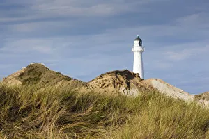 Images Dated 12th June 2018: New Zealand, North Island, Castlepoint, Castlepoint Lighthouse
