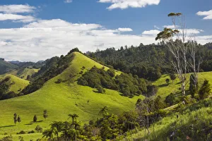 Images Dated 12th June 2018: New Zealand, North Island, Coromandel Peninsula, Wharekawa, landscape