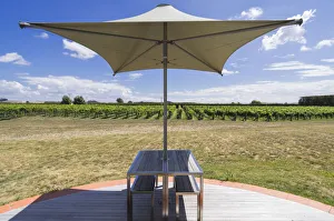 Images Dated 16th February 2016: New Zealand, North Island, Hawkes Bay, Havelock North, vineyard table