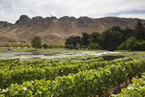 New Zealand, North Island, Hawkes Bay, Havelock North, Te Mata Peak, view from vineyards