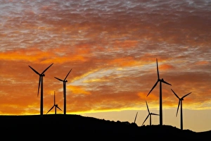 Turbine Prints: New Zealand, North Island, Manawatu, Sunrise, Te Apiti Wind Farm, Ruahine Ranges