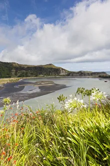 Australia Prints: New Zealand, North Island, Mokau, Mokau harbor landscape