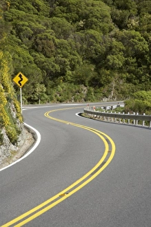 Corner Prints: New Zealand, North Island, near Wellington, Rimutaka Hill Road