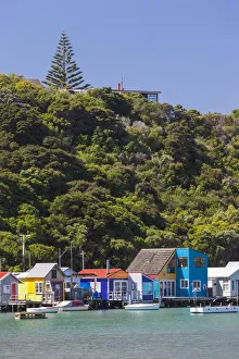 Australia Prints: New Zealand, North Island, Paremata, houses along Porirua Harbour