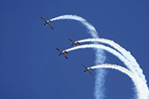 Images Dated 23rd March 2008: New Zealand, Otago, Wanaka, Warbirds Over Wanaka, North American Harvards, or T-6 Texans