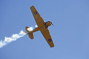 Images Dated 23rd March 2008: New Zealand, Otago, Wanaka, Warbirds Over Wanaka, North American Harvard, or T-6 Texan