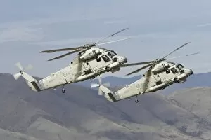 Images Dated 16th April 2006: New Zealand, Otago, Wanaka, Warbirds Over Wanaka, Seasprite Helicopters (Kaman SH