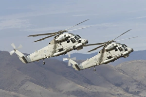 Images Dated 16th April 2006: New Zealand, Otago, Wanaka, Warbirds Over Wanaka, Seasprite Helicopters (Kaman SH