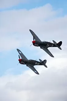 Images Dated 16th April 2006: New Zealand, Otago, Wanaka, Warbirds Over Wanaka, Curtiss P-40 Kittyhawks