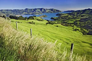Australia Collection: New Zealand, South Island. Akaroa Harbor landscape