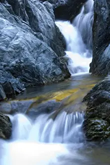 Images Dated 27th April 2009: New Zealand, South Island, Arthurs Pass National Park. Crystal clear stream water
