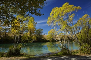 New Zealand, South Island, Canterbury, Mackenzie Country, Ohau River in autumn