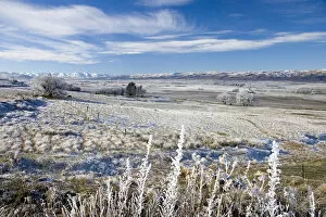 Images Dated 28th June 2006: New Zealand, South Island, Central Otago, near Poolburn, Hoar Frost and Farmland