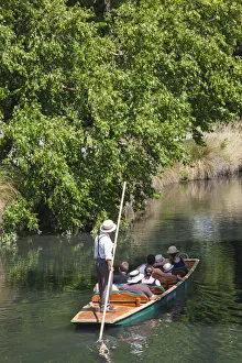 Images Dated 24th February 2016: New Zealand, South Island, Christchurch, punting on the Avon River