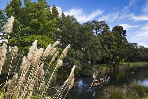Images Dated 24th February 2016: New Zealand, South Island, Christchurch, punting on the Avon River