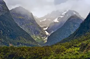 New Zealand, South Island, Fiordland National Park, Milford Sound