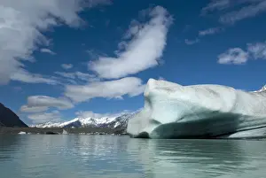 Images Dated 5th November 2011: New Zealand; South Island. Large icebergs on Tasman Glacier Terminal Lake