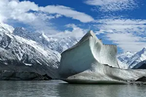 Images Dated 5th November 2011: New Zealand; South Island. Large icebergs on Tasman Glacier Terminal Lake