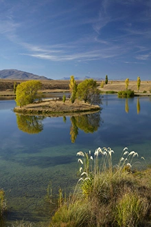 South Is Prints: New Zealand, South Island, Mackenzie Country, Loch Cameron in autumn