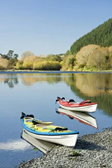 New Zealand, South Island, Marlborough Sounds. Sea kayak in Pelorus River