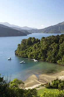 Images Dated 29th September 2005: New Zealand, South Island, Marlborough Sounds, Whenuanui / Becks Bay, Grove Arm