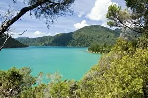 Images Dated 4th February 2007: New Zealand, South Island, Marlborough Sounds. View of Nydia Bay from Nydia Track