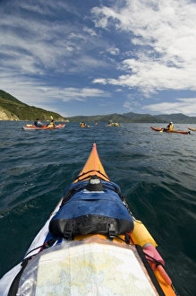 Images Dated 25th January 2007: New Zealand, South Island, Marlborough Sounds. Seakayakers at Tennyson Inlet