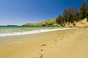 New Zealand, South Island, Marlborough Sounds. Beach at Titirangi Bay