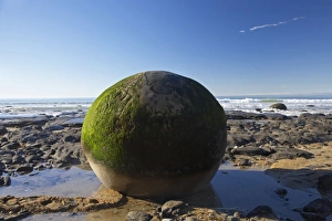 Images Dated 9th July 2009: New Zealand, South Island, North Otago, Moeraki Boulders