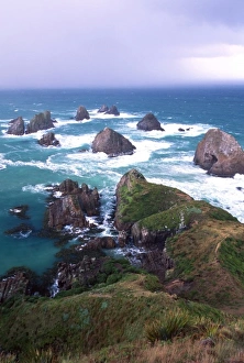 Rough Prints: New Zealand, South Island, Nugget Point