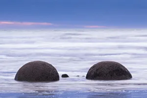 Images Dated 10th March 2016: New Zealand, South Island, Otago, Moeraki, Moeraki Boulders also known as Te Kaihinaki