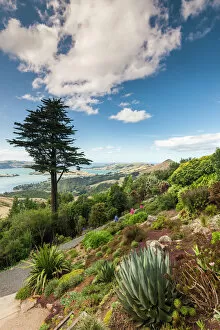 Australia Collection: New Zealand, South Island, Otago, Otago Peninsula, Dunedin-area, Larnach Castle Gardens