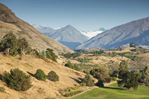 Images Dated 1st March 2016: New Zealand, South Island, Otago, Wanaka, vineyard on Lake Wanaka