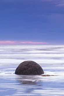 Images Dated 10th March 2016: New Zealand, South Island, Otago, Moeraki, Moeraki Boulders also known as Te Kaihinaki