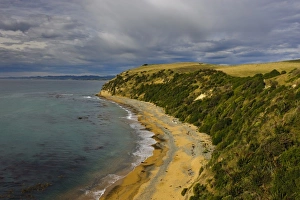 Images Dated 13th July 2011: New Zealand, South Island, Otago, Omaru, Bushy Beach Scenic Preserve. View of Bushy