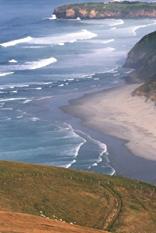 Eco Tourism Prints: New Zealand, South Island, Otago Coast