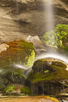 Images Dated 11th January 2012: New Zealand, South Island, Paparoa National Park