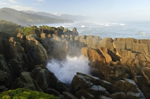 Punakaiki Prints: New Zealand, South Island, Paparoa National Park