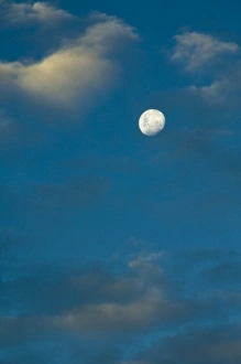 Images Dated 27th April 2009: New Zealand, South Island, Potts Range. Waxing moon