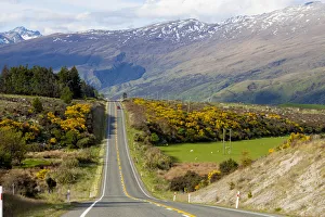 Mountains Prints: New Zealand, South Island, scenic highway