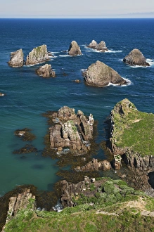 Images Dated 3rd January 2007: New Zealand, South Island. Seascape from Nugget Point