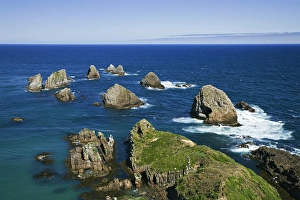Images Dated 3rd January 2007: New Zealand, South Island. Seascape from Nugget Point