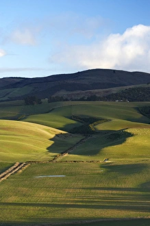 Images Dated 7th July 2009: New Zealand, South Island, South Otago, Late Light on Rolling Farmland near Balclutha