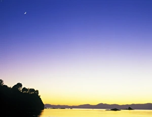 Crescent Moon Prints: New Zealand, South Island, Tapu Bay at Dawn