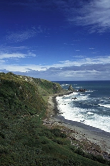 Westport Prints: New Zealand, South Island, Westport. Cape Foulwind and coastline