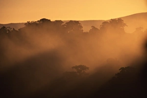 New Zealand, Southland
