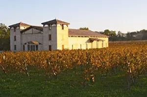 Images Dated 18th November 2005: The newly constructed winery building seen over the green yellow golden vineyard